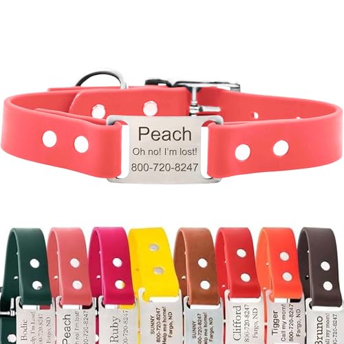 dogIDs Personalized Dog Collar – ScruffTag Custom Waterproof Biothane Dog Collar with Laser-Engraved Name, Durable & Odor-Resistant – USA Made | Coral, 1 in x 16 in (Fits Neck Sizes 14-18 in) - color: Coral, size: 1 in x 16 in (Fits Neck Sizes 14-18 in)