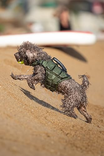 NOAH & PAW Dog Life Jacket, Human Standards Lifejacket Design, Dog Life Vest for Swimming and Boating, 3X Foam Support for Max Floating, Breathable Mesh, Salvavidas para Perros, Size XS - size: XS