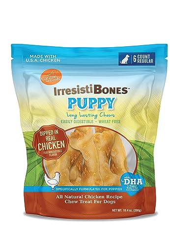 Canine Naturals IrresistiBONES Long Lasting Puppy Chicken and Rice Chew - Made with USA Chicken - All Natural - Added DHA for Healthy Growth - 6 Pack - size: 1 Count (Pack of 6)