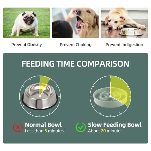 Havniva 8.2” Raised Slow Feeder Dog Bowls, 1.6 Cups Ceramic Dog Bowl Slow Feeding for Medium Breed, Elevated Puzzle Dog Food Bowl with Wooden Stand Non-Slip Anti-Gulping & Anti-Choking - color: 1 x Light Green+Stand-A, size: 8.2inch