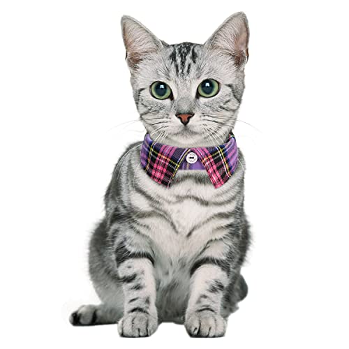 Faleela 2 Pack/Set Cat Collar with Cute Bow Tie and Bell,Breakaway Plaid Shirt Collar for Kitty Adjustable Safety - color: 2023new-Purple