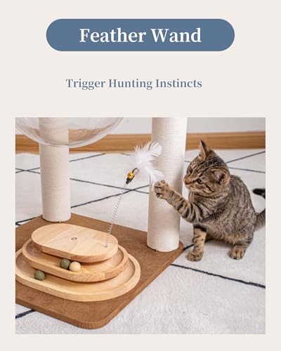 Modern Cat Tree for Large Cats, Modern Cat Tree Tower with Wide Shelves Cotton Scratching Posts, Super Sturdy Base, Cozy Perches, and Interactive Toys for Indoor Kittens 31-Inch - color: S81D