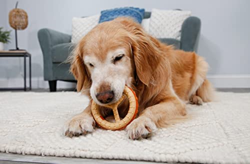 Hartz Chew ‘n Clean Chew Toy and Treat in One Chicken Flavored Ring Dog Toy, Medium - color: Ring, size: Medium (1 Count)