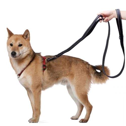 Aeclleca Soft Handle Reflective Black Dog Leash with 2 Padded Handles, 5FT Heavy Duty Pet Lead for Medium & Large Dogs, Comfortable Anti-Slip Grip & Night Safety Design (Blue) - color: Blue