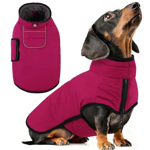 AOFITEE Dog Winter Coat, Waterproof Dog Jacket, Dog Coat with Harness Hole, Warm Fleece Dog Puffer Jacket, Reflective Windproof Dog Snowsuit for Small Medium Large Dogs, Dachshund, French Bulldog, M - color: HotPink, size: Medium