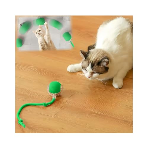 Interactive Cat Toys for Indoor Cats, Agility Move Cat Balls,Motion Activated Cat Balls, Cat Toys for Bored Indoor Cats（Green） - color: Green