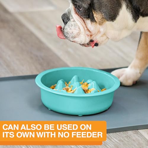 The Niner Slow Feed Bowl - Raised Peaks Slow Down Pets Eating - Fits Elevated Feeders Including Neater Feeder Large Sizes - Gentle on Teeth and Gums - Holds up to 2 Cups (Aquamarine) - color: Aquamarine