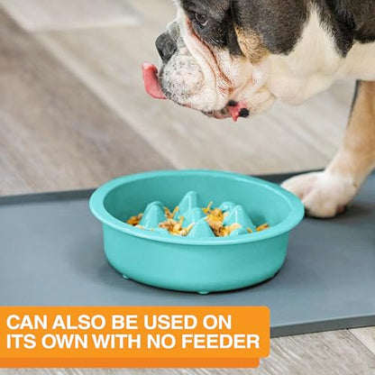 The Niner Slow Feed Bowl - Raised Peaks Slow Down Pets Eating - Fits Elevated Feeders Including Neater Feeder Large Sizes - Gentle on Teeth and Gums - Holds up to 2 Cups (Aquamarine) - color: Aquamarine