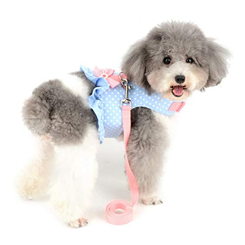 Zunea No Pull Small Dog Girl Harness Dress Escape Proof Cat Kitten Vest Harness Leash Set Step-in Soft Cotton Padded Polka Dot Jacket Chihuahua Puppy Clothes with Cute Bow for Walking Blue XS - color: blue dots, size: XS (Chest:12.2-13.7", Neck:8.2-9.4")