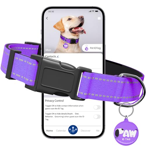 Reflective Dog Collar for Extra Small Dogs with Dog Tags Personalized & Quick Release Buckle, Adjustable and Comfortable Nylon Pet Collar, Purple - color: Purple, size: XS