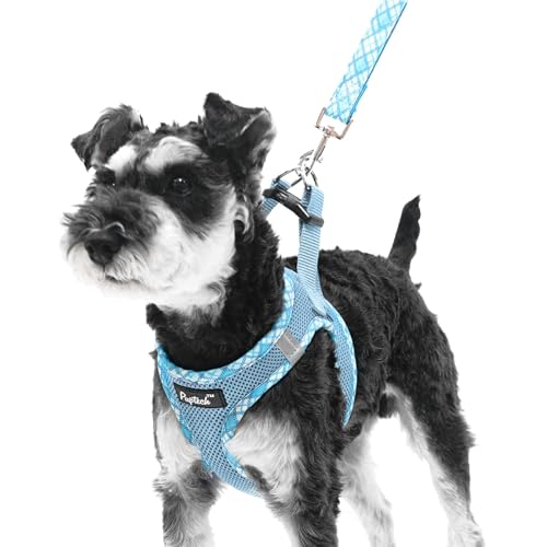 PUPTECK Dog Harness and Leash Set for Small Medium Dogs No Pull Step-in Soft Mesh Puppy Cat Vest Harnesses Reflective at Night, Sky Blue, XS - color: #1 SkyBlue(Basic Mesh), size: XS(CHEST 13"-14.5", 3-9 lbs)