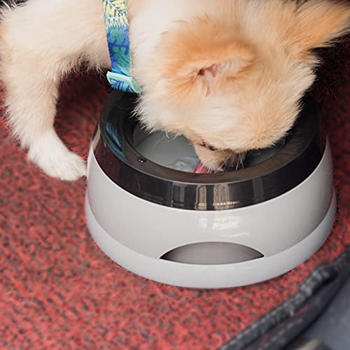 Dog Bowl Pet Water Non-Drip Slow Feeders Cats Dispenser 25oz for Travel Cats Dog Dispenser for Vehicle Car Travel for Crates - color: Gray