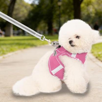 Small Dog Harness and Leash Set, Step-in Puppy Vest with Breathable Soft Padded Mesh, Walking Reflective Pet Harness for Small Medium Dogs - color: Pink, size: Large (Chest: 16" - 20")