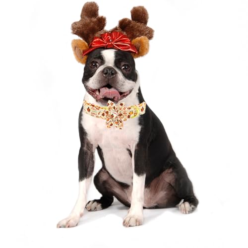 Dog Collar, Christmas Pet Collar with Flower Holiday Girl Boy Puppy Collar Adjustable for X-Small Dogs - color: Cute Turkey, size: X-Small (Pack of 1)