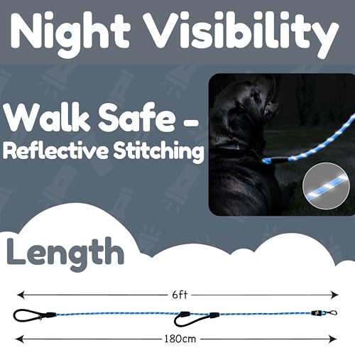 6 Foot Dog Leash, Two Extra Padded Handles, Locking Carabiner Clip, Reflective for Night Visibility, Weatherproof, Heavy Duty Rope Leash, Roam Gear (Blue) - color: Blue