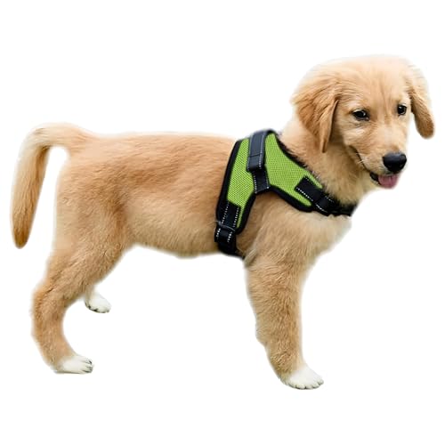 No Pull Reflective Adjustable Dog Harness with Handle- Comfortable Soft All Weather Mesh, Easy On Puppy Harness for Small Medium and Large Dogs (Green) X-Small - color: Green, size: X-Small