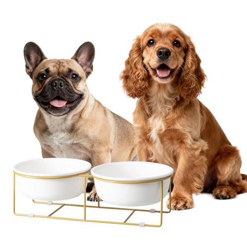 Elevated Dog Bowls for Food and Water - Double Ceramic Bowls with Metal Stand - Raised Feeding Station for Small and Medium Dogs - Each Holds 600ml / 3.2 Cups (Approx. 320g) - White - color: White×2-Flat, size: Large