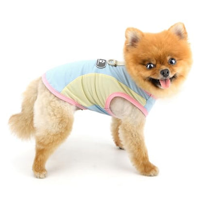 PAIDEFUL Summer Cooling Dog Shirt for Small Dogs Breathable Mesh Pet T-Shirts UV Sun Protection Puppy Vest Soft Lightweight Doggie Tank Top Fashion Chihuahua Tee Clothes Cat Apparel D-Ring,Blue,XXL - color: blue, size: XXL