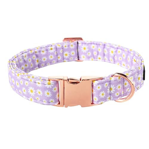 Lionet Paws Dog Collar, Comfortable Adjustable Cute Collar with Metal Buckle for Male Female Puppies, Purple Daisy, XS, Neck 8-12 inches - color: Purple Daisy, size: X-Small (Pack of 1)