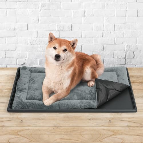 CAPHAUS Dog Pad with Tray for 36-Inch Crate, Mat with Non-Slip Bottom, Durable Plastic Tray and Machine-Washable Flat Dog Bed for Easy Cleaning - color: Tray & Dog Bed, size: Medium