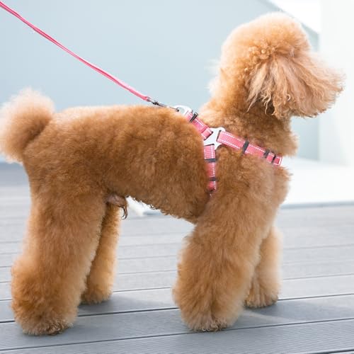 EXCELLENT ELITE SPANKER No Pull Dog Harness Adjustable Nylon Step-in Easy Pet Vest Chest Strap with Reflective and Leash Ring for Small Medium Large Breed Dogs Training Walking(Light Blue-L) - color: Light Blue, size: L