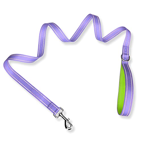 PHOEPET 5 Feet Dog Leash - Dual-Side Reflective - Soft Padded Handle - Fit for Walking, Training or Exploring Hiking, Camping (Baby Purple + Green Base) - color: Baby Purple + Green Base