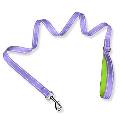 PHOEPET 5 Feet Dog Leash - Dual-Side Reflective - Soft Padded Handle - Fit for Walking, Training or Exploring Hiking, Camping (Baby Purple + Green Base) - color: Baby Purple + Green Base