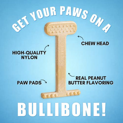 Bullibone Nylon Dog Chew Toy for Aggressive Chewers - Dental Hygiene Bone with Peanut Butter Flavor, Durable Tough Chew Toys for Extra Large Dogs, Indestructible Dog Bone - 2 Pack - size: XL