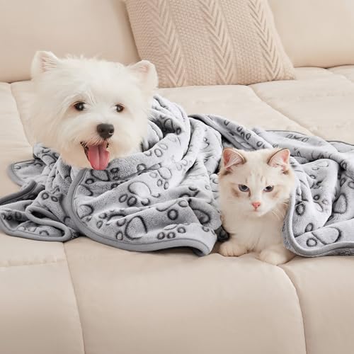 Luciphia 1 Pack 3 Blankets Fluffy Premium Fleece Pet Blanket Flannel Paw Printed Throw for Dog Cat Grey Paw Large(41"x31",Pack of 3) - color: Grey-paw Line, size: 41x31 inch (Pack of 3)