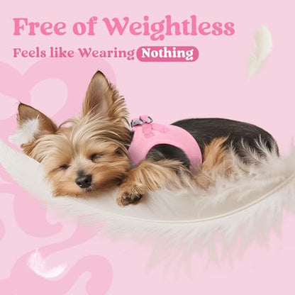 rabbitgoo Small Dog Harness, Step-in Soft Mesh Puppy Vest with Safety Buckle, Breathable Reflective Pet Harness for Large Dogs, Light Pink XXL - color: Light Pink, size: Xxl(chest:21.6"-23.7")