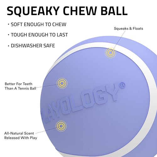 Playology Dog Toys | Squeaky Chew Ball - Bouncy Durable Floating Fetch Ball for Dogs | Medium Blueberry Scented Toy - Easy to Clean and Made from Non Toxic Materials - size: Medium, style: Blueberry