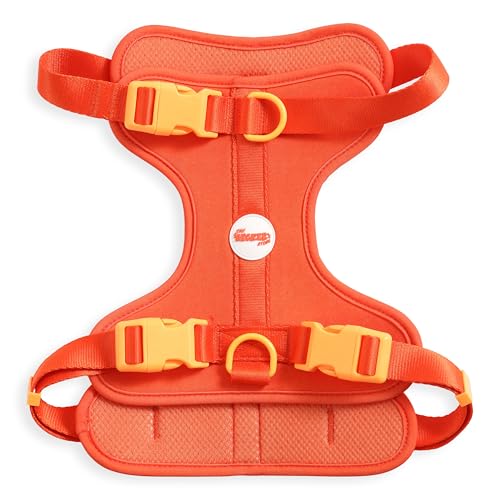 HNS1003A Arlo Large Adjustable Soft Padded No Pull Pet Harness with 3 Buckles and 3 Leash Clips, Aperol - color: Dark Orange, size: Large (Chest: 24 - 37")