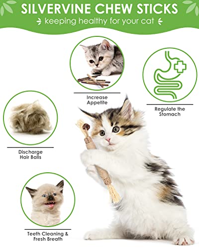 TINDTOP 12 Pack Chew Sticks for Cats, Natural Silvervine Catnip Toys for Kittens Teeth Cleaning, Matatabi Dental Care, Increase Appetite, Calm Cat Anxiety and Stress, Cat Dental Toy - color: 12 Pack