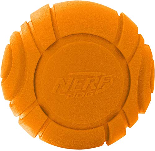 Nerf Dog 25in Translucent Air Strike Thrower, Dog Toy Gift Set with Five 2.5in Balls, Lightweight, Durable and Water Resistant, for Small/Medium/Large Breeds (Pack of 2) - size: 5 Piece Set (Pack of 2)