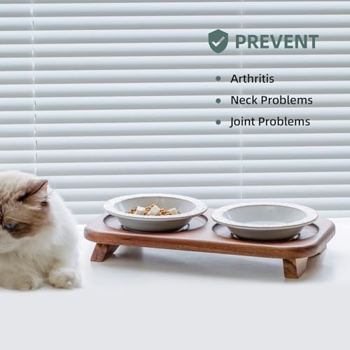 Havniva Cat Food Bowl, 6.1" Raised Cat Bowls with Acacia Wood Stand, Elevated Cat Dishes Ceramic Pet Food & Water Bowl Set, Extra Wide Whisker Friendly Elegant Pet Dish for Kitten, Cats, Puppy - color: 2 Dishes+Stand- Arctic White