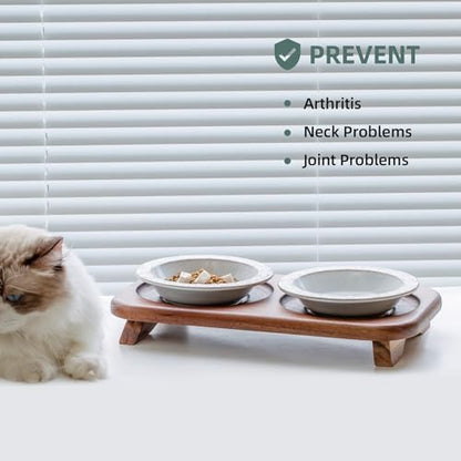Havniva Cat Food Bowl, 6.1" Raised Cat Bowls with Acacia Wood Stand, Elevated Cat Dishes Ceramic Pet Food & Water Bowl Set, Extra Wide Whisker Friendly Elegant Pet Dish for Kitten, Cats, Puppy - color: 2 Dishes+Stand- Arctic White