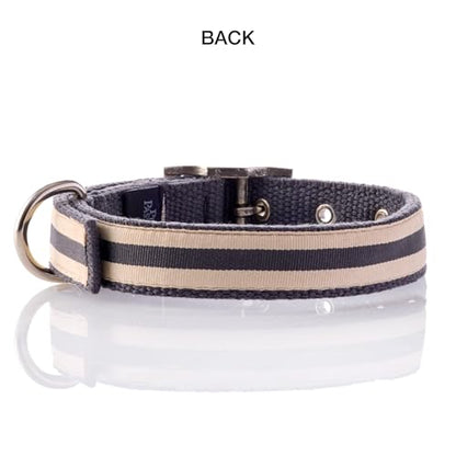 Pet Passion Remy II - The Recycled Ribbon Collar, Adjustable Pet Dog Collars for Small, Medium, Large Dogs and Puppy, Black Sand, XX-Large - color: Black Sand, size: XX-Large