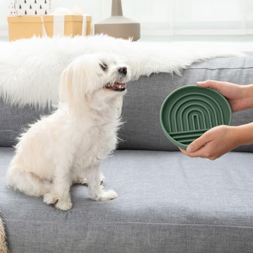 Should We Go? Slow Feeder for Dogs & Cats, The Slowdown Bowl Silicone Slow Eating Mealtime Solution with Modern Lick Mat Design, Reduces Gulping, Fits 1 Cup, 6” Across x 1.25” Tall, Small-Spruce - color: Spruce, size: Small (6” Across x 1.25” Tall)