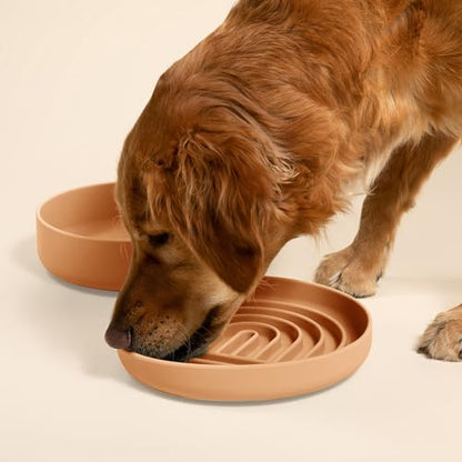 Should We Go? Slow Feeder for Dogs & Puppies, The Slowdown Bowl Silicone Slow Eating, Lick Mat Design, Reduces Gulping, Fits 2.5 Cups, 9.5” Across x 1.5” Tall, Mealtime Challenge, Large-Terracotta - color: Terracotta - Rainbow Design, size: Large (9.5” Ac