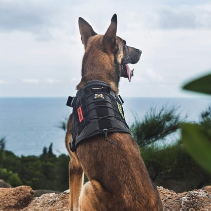 OneTigris Tactical Dog Harness Vest,No-Pull Service Dog Vest with Hook & Loop Panels,Adjustable Dog Vest Harness for Walking Hiking Training(Black,XS) - color: Black, size: XS