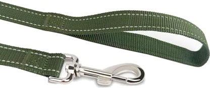 Reflective Dog Leash 4Ft /5 Foot /6 Feet Long, 1 Inch Wide, for Small and Medium Dogs - color: Reflective Green, size: 1'' x 4 FT