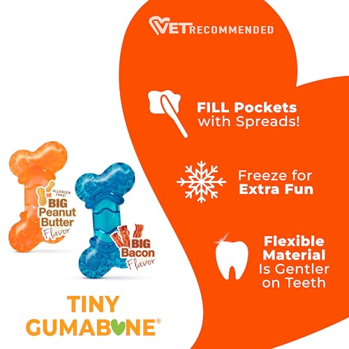 Nylabone Moderate Chew Flexi Chew Bone Peanut Butter & Bacon XX-Small/Tiny (2 Count)