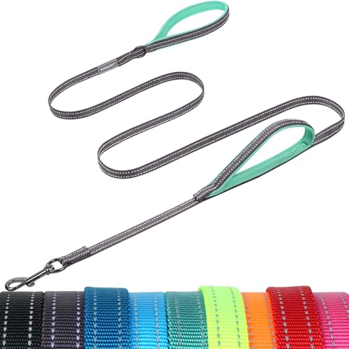 VIVAGLORY Dog Leash Twingrip Double Handle Dog Leash with Traffic Handle Control & 2 Loop for Walking & Training, Reflective Heavy Duty for Puppy Pet Collar, 5ft x 1/2in, Grey - color: Grey, size: 5 ft. x 1/2 in.