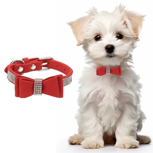 Cute Dog Collar with Bling Rhinestone, Bling Dog Collar Adjustable Leather Diamond Sparkling Jewel Accessories 12", (Red), Intended for Teacup/Cat/Small Medium Large Pet - color: Red, size: 12 Inch