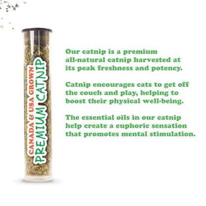 Meowijuana Chameleon Jump 'n' Jamb Door Hanging Cat Toy and Honeysuckle Haze Catnip Blend | Refillable Interactive Catnip Toy | Catnip Grown in North America - color: Chameleon & Honeysuckle Haze Blend