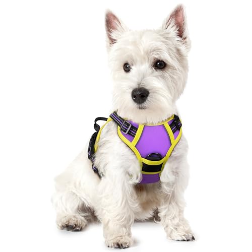 rabbitgoo Dog Harness No Pull with 2 Leash Clips, Adjustable Soft Padded, Reflective Oxford No Choke Pet Vest with Easy Control Handle for Puppy, Purple & Yellow, XS - color: Purple & Yellow, size: X-Small