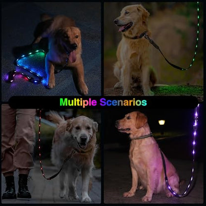 hamraba 5 Ft Light Up Dog Leash, 10 Lighting Modes LED Dog Leash for Night Walking, Rechargeable with Padded Handle, Safety Glow in The Dark, for Small Medium Large Dogs