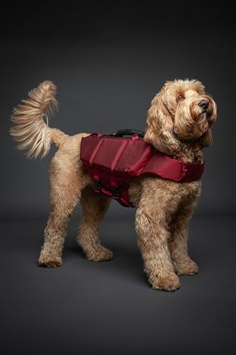 NOAH & PAW Dog Life Jacket, Human Standards Lifejacket Design, Dog Life Vest for Swimming and Boating, 3X Foam Support for Max Floating, Breathable Mesh, Salvavidas para Perros, Size M - size: M