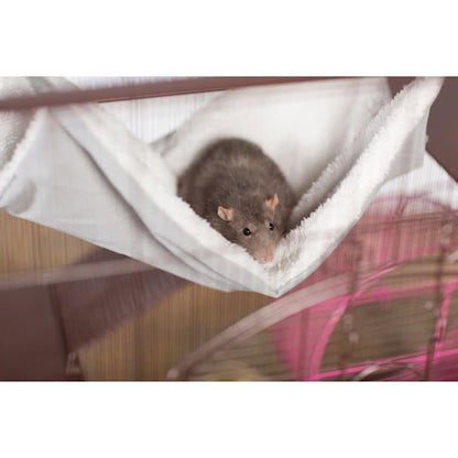 Prevue Pet Products Replacement Hammock - Cat Accessories for Cages, Hanging Bed, Soft & Comfortable with Metal Clips for Hanging, for Guinea Pigs, Rats, Ferrets, Chinchillas, & Small Animals - Gray