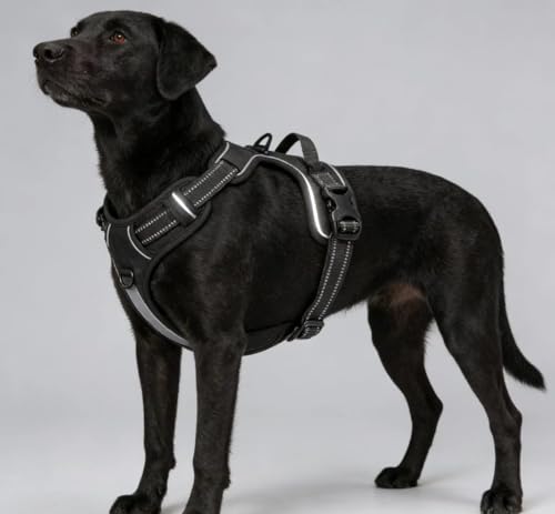 Black Adjustable Reflective No-Pull Dog Harness with 2 Leash Clips，Soft Padded Vest for Medium Dog, Easy to Put on and Take Off, Black M - color: Black, size: Medium